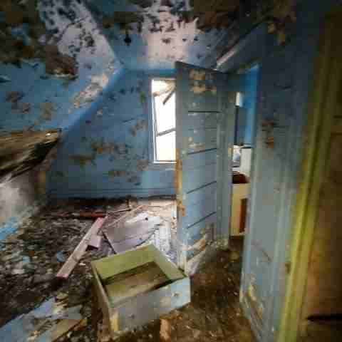 8031 conger (30).jpg